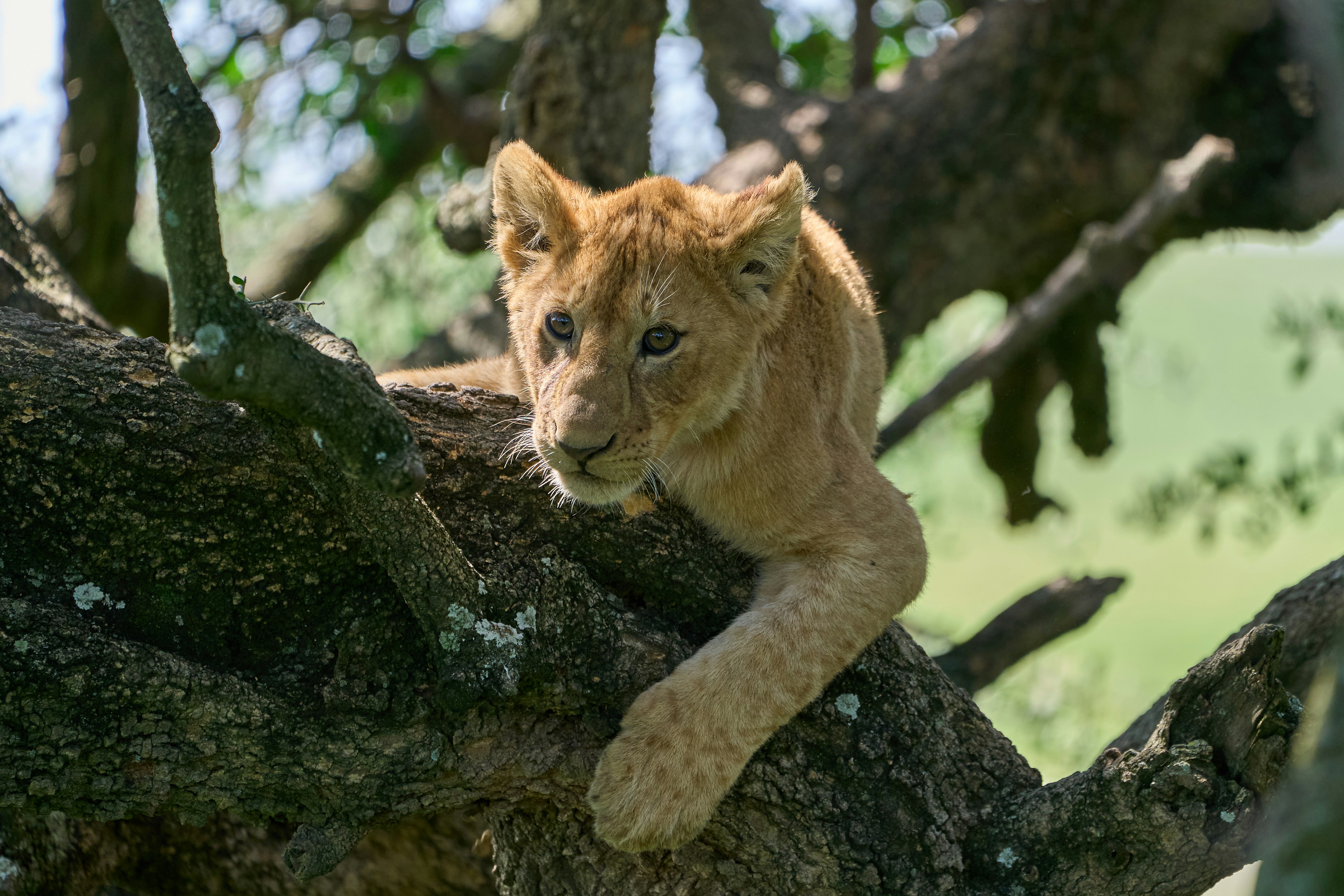Lake Manyara